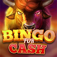 Bingo For Cash - Real Money GAMEPLAY