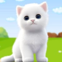 Cat Life Pet Simulator 3D - Android Gameplay