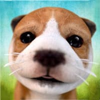 Dog Simulator 2015 - Android Gameplay HD