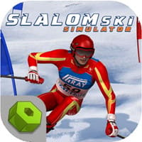 Slalom Ski Simulator Game Walkthrough