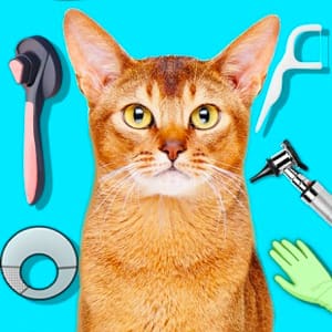 Cat Games: Pet Doctor Dentist