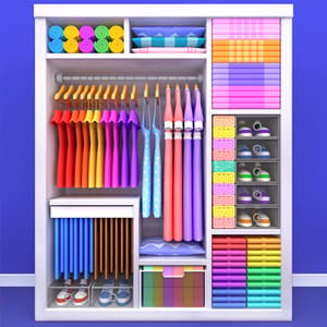 Fill the Closet: Organize Game