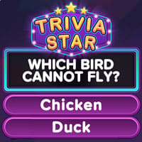 TRIVIA STAR