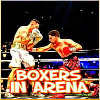 Boxers In Arena