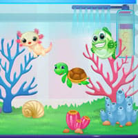 Cute Fish Tank