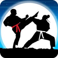 Karate Fighter Real Battle