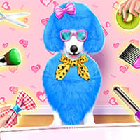 Princess Pet Beauty Salon