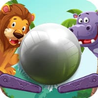 Zoo Pinball